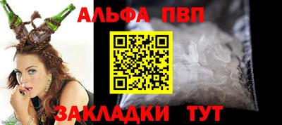 кокс Кингисепп