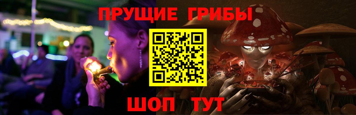 Клинцы  Галлюциногенные грибы ЛСД  Галлюциногенные грибы MAGIC MUSHROOMS  Вход с VPN 